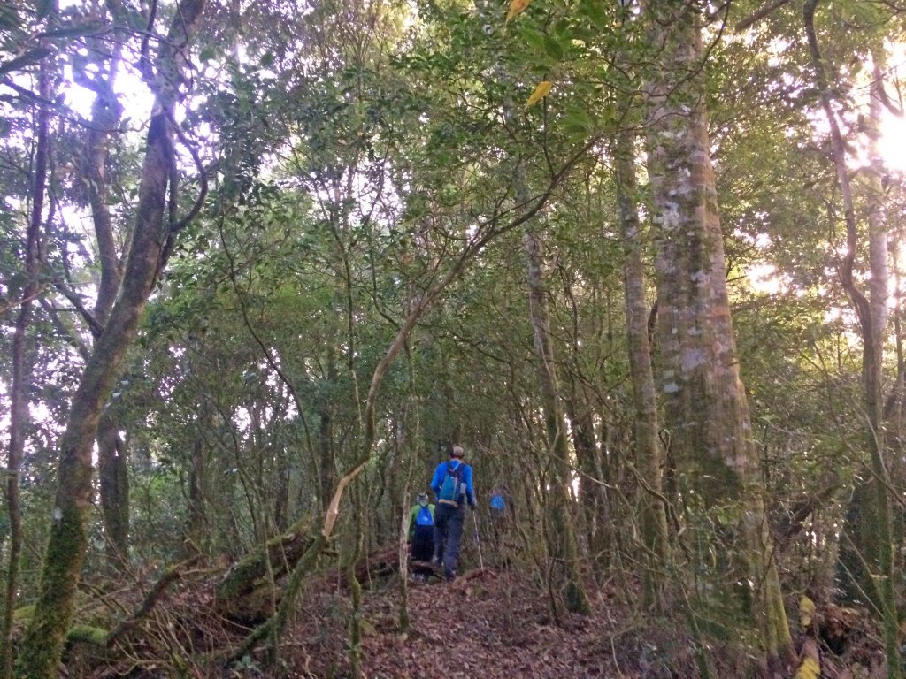 里佳部落登多陽、棚育、棚機山_463654