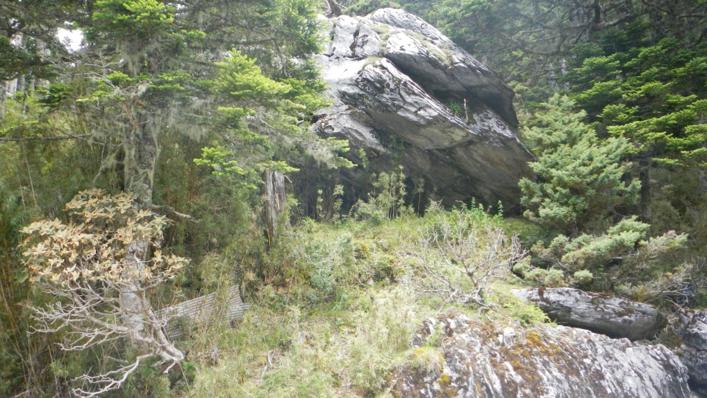 【山岳之美】102.07.21-27北一段逆走_5075