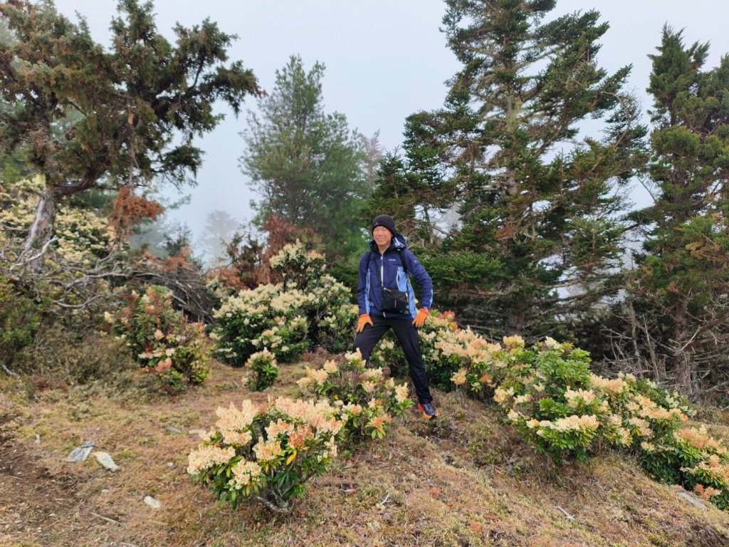 20240319 馬博8天縱走~第四天，馬博拉斯山，駒盆山_2469707