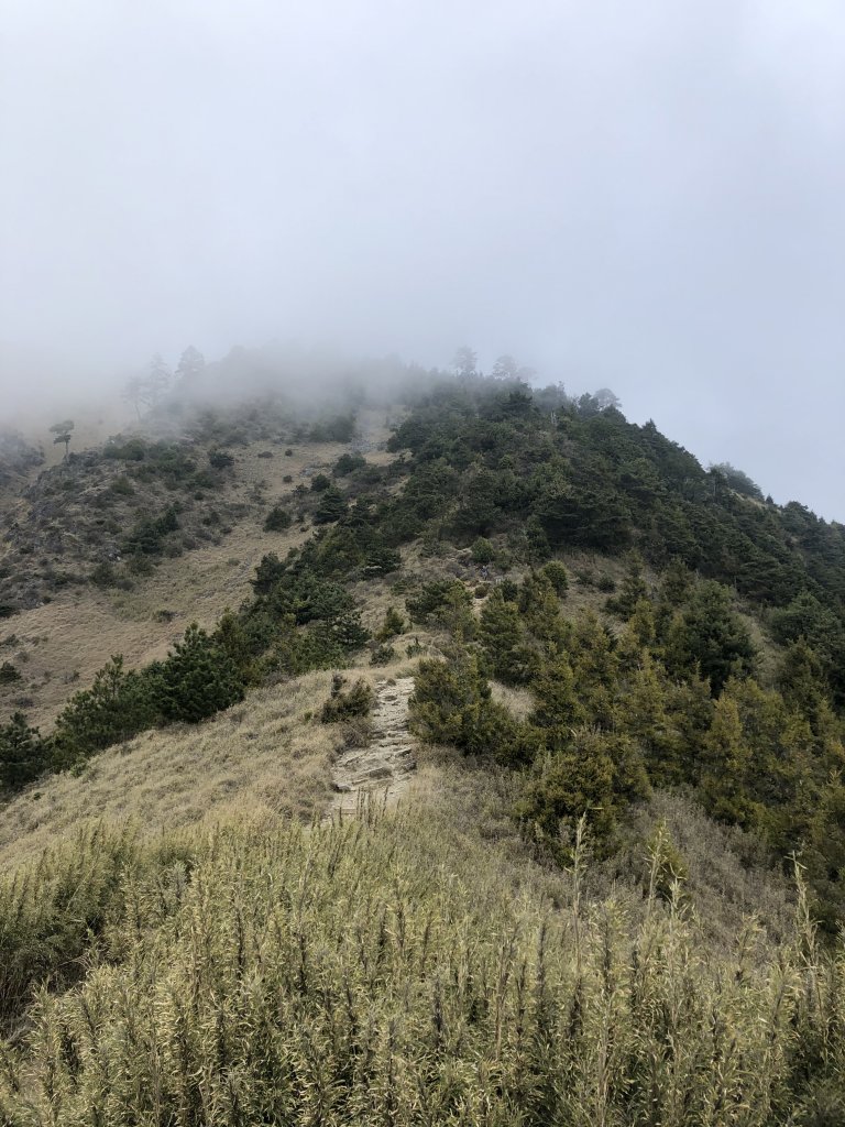 2020_0502雪山東峰_2012363