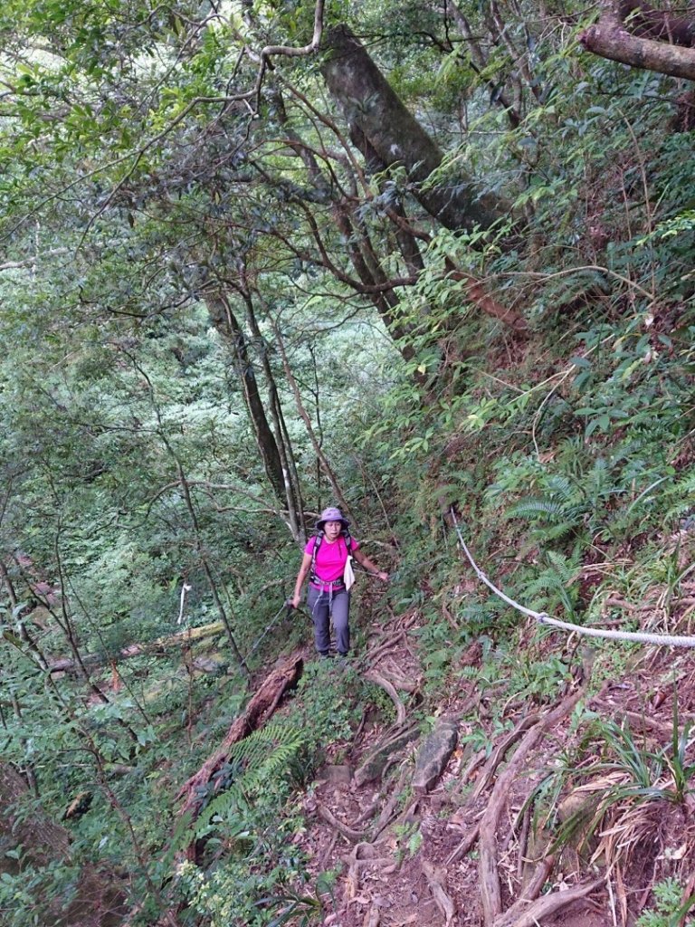 貴妃山、那結山O走_1478395