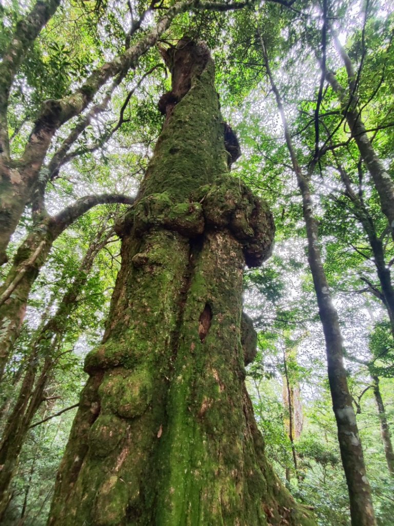 樂雪縱走_2876774