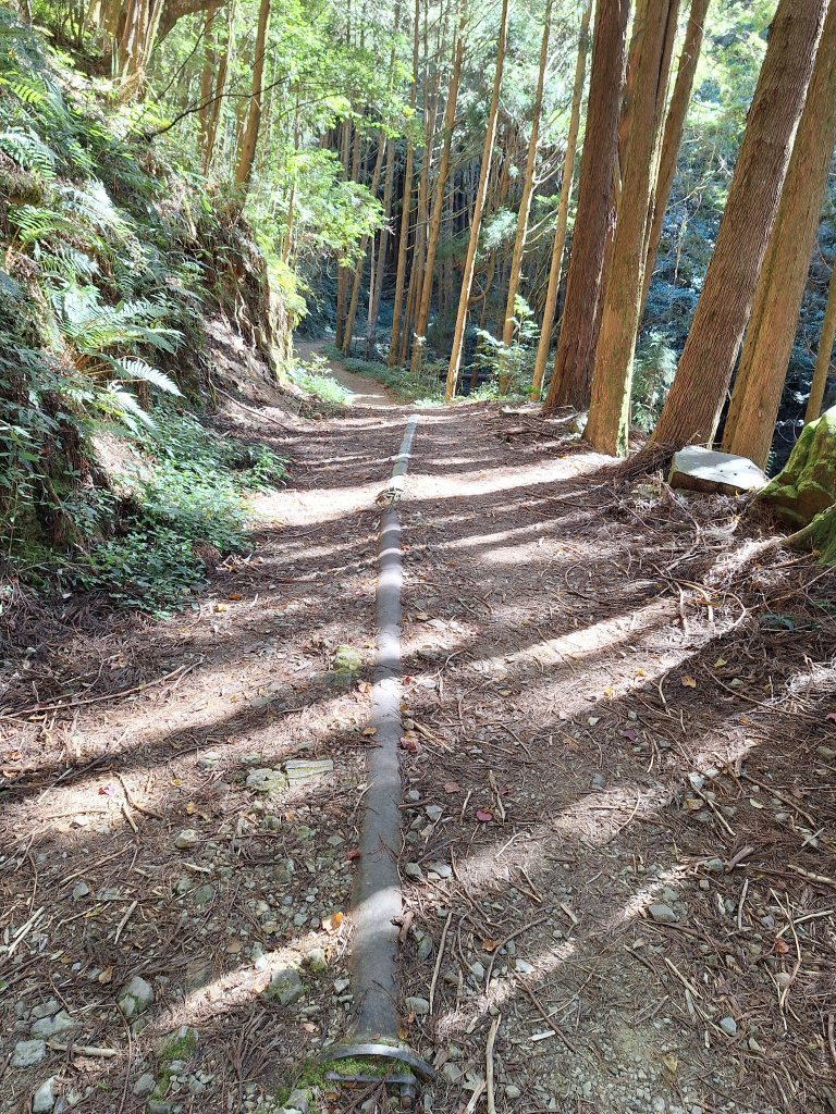 石山引水道20251211_2959527