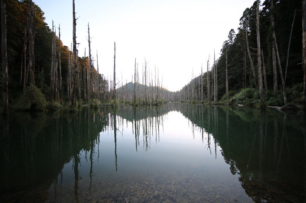 水樣森林 第一次在山裡過夜_658905