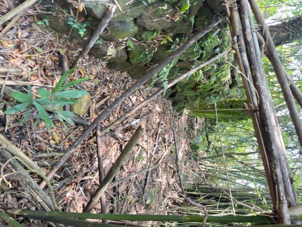 雙溪-四柑-後番子坑古道-土地公-上下內平林-大平林山-石笋-焿子寮古道-猴硐-金瓜石大小粗坑古道_2767425