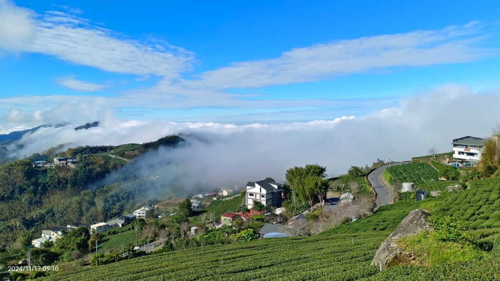 阿里山 #隙頂二延平 #頂石棹 #觀音圈 #雲海 #琉璃光 #雲瀑 #霧虹 11/17_2649796