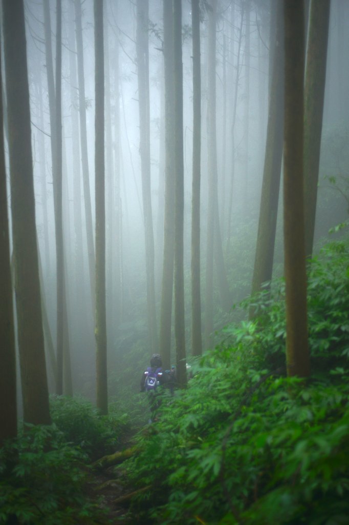 向天湖山步道 (大 O：含三角湖山、光天高山)_2664943