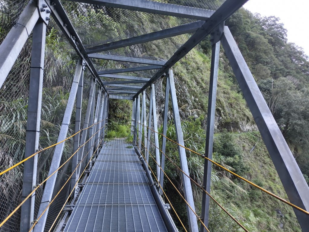 [玉山尋寶任務-07/12] 2025_0824 八通關雲龍瀑布步道_2870528