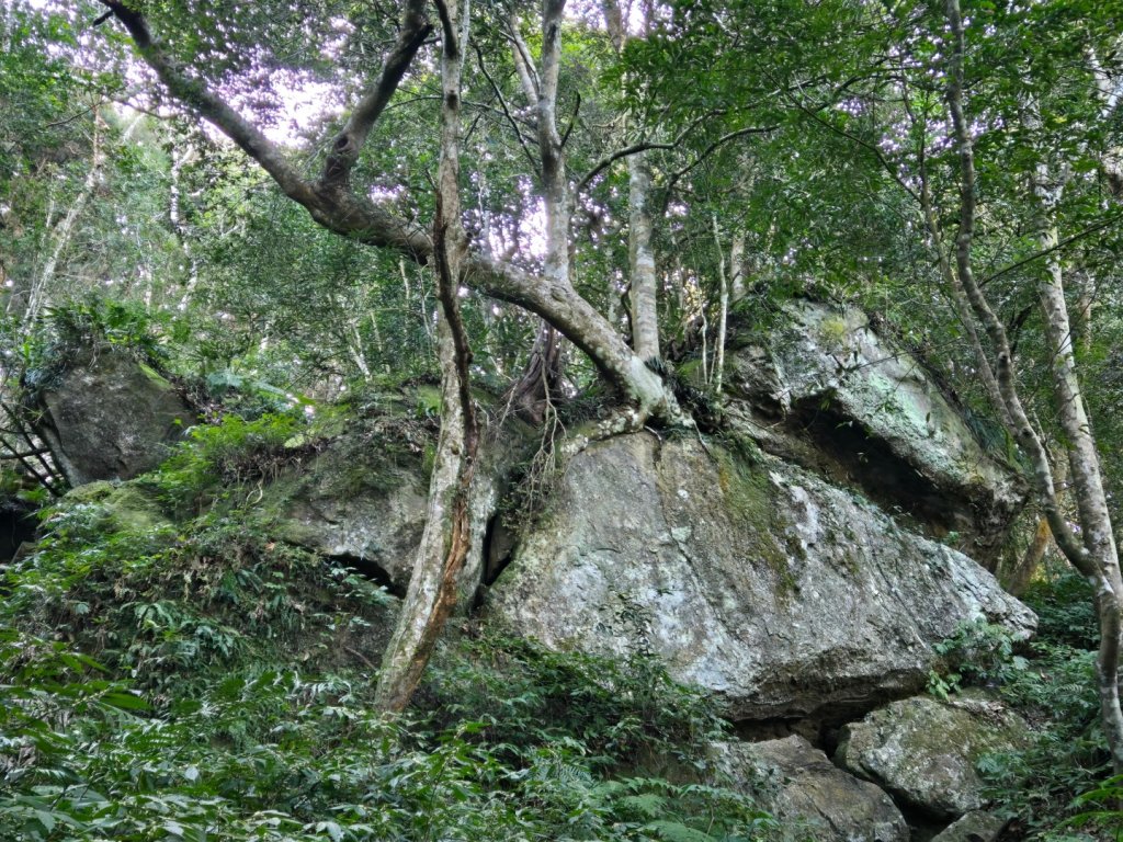 油羅山_3014853