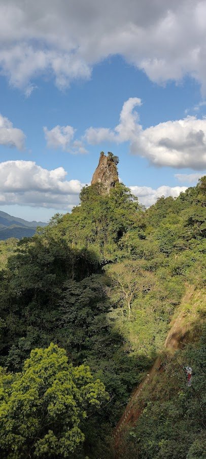 2022 3/9 孝子山登山步道_1636984