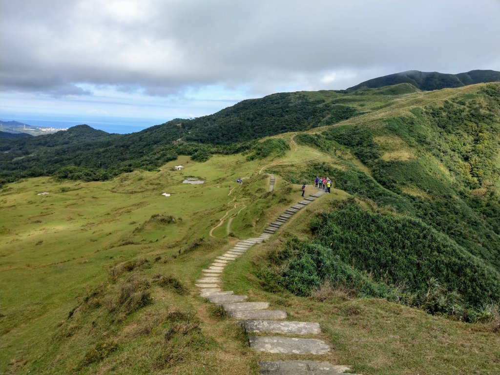 草嶺古道及桃源谷賞芒&&一望無際的綠_748803