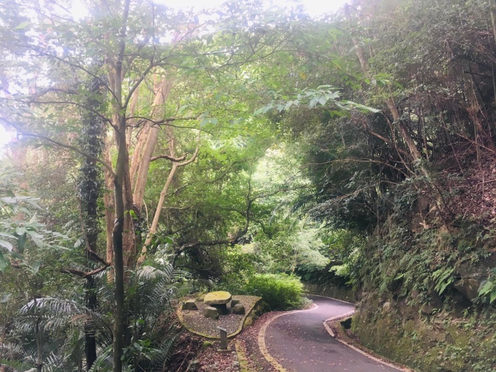 獅山古道、六寮古道、獅頭山o走_1924329