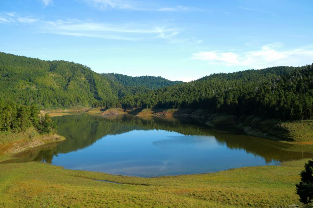 水青岡換新裝~探索太平山的原始森林_349101