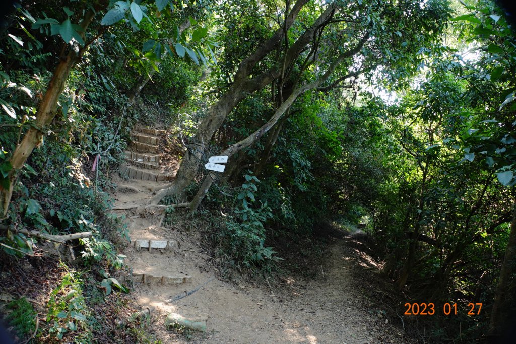 屏東 瑪家鄉 笠頂山_2019594