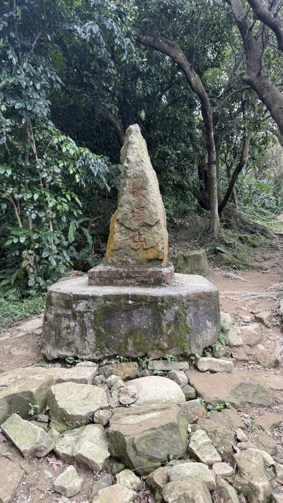 20260111微笑山線：【大棟山系】405高地段+百年大榕樹段_2982893