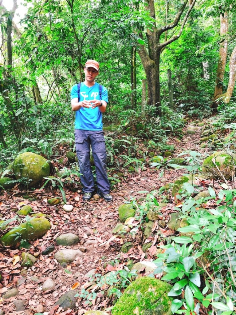 童軍團手作步道體驗in大坑5-1步道_580869