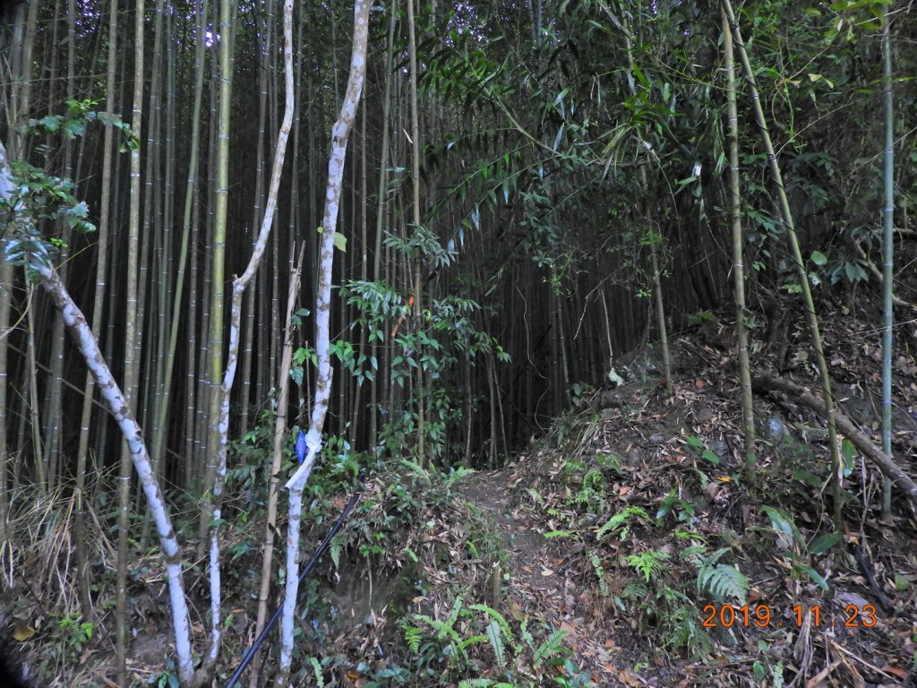 桃園 復興 待矢負山_746142