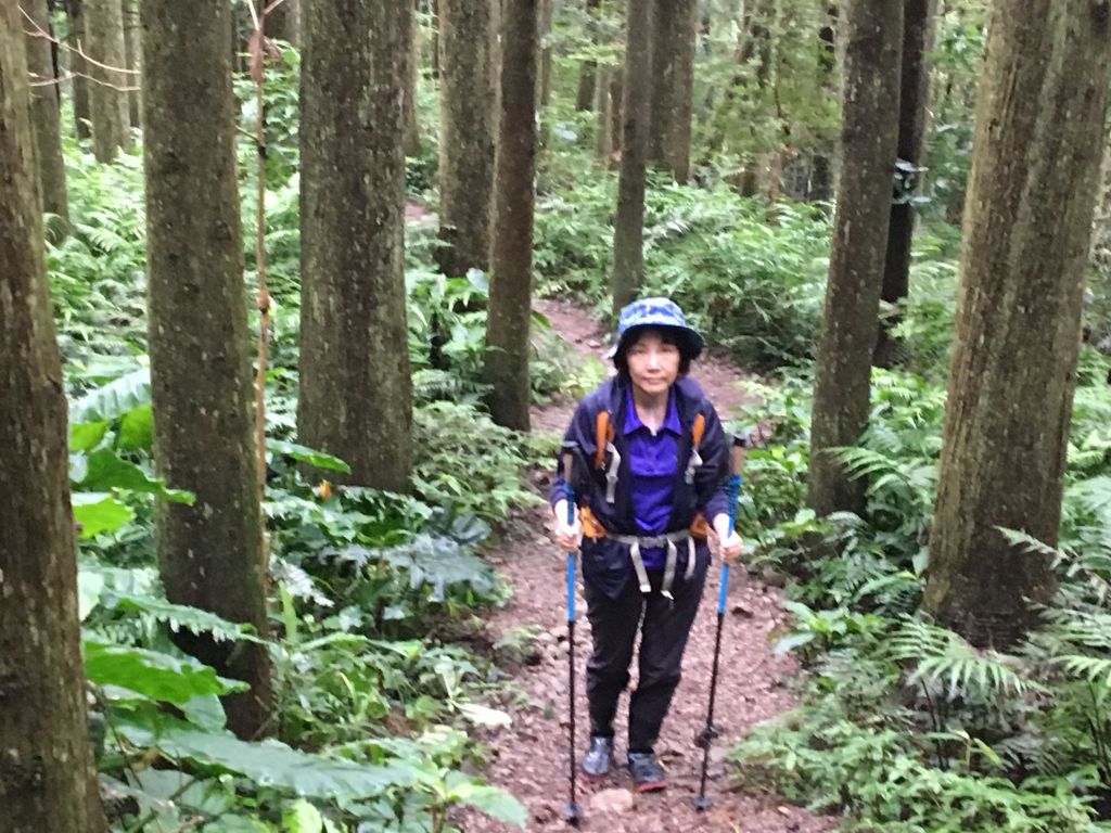 2018/06/18高台山連走島田三山_353653