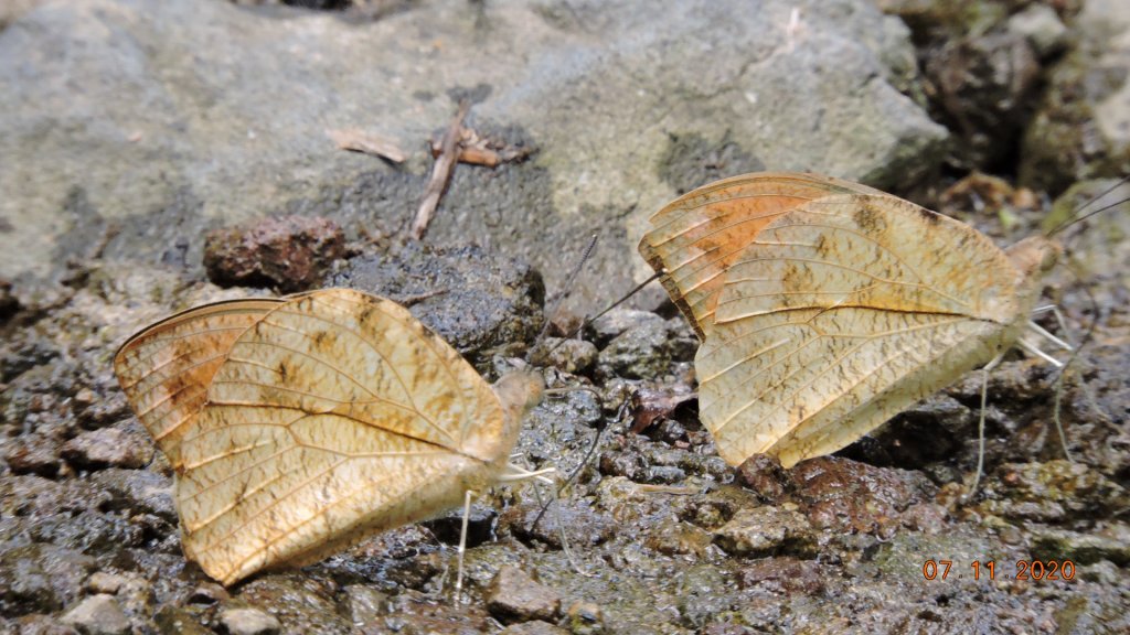 就是喜歡這個藍天白雲的FU_1029272