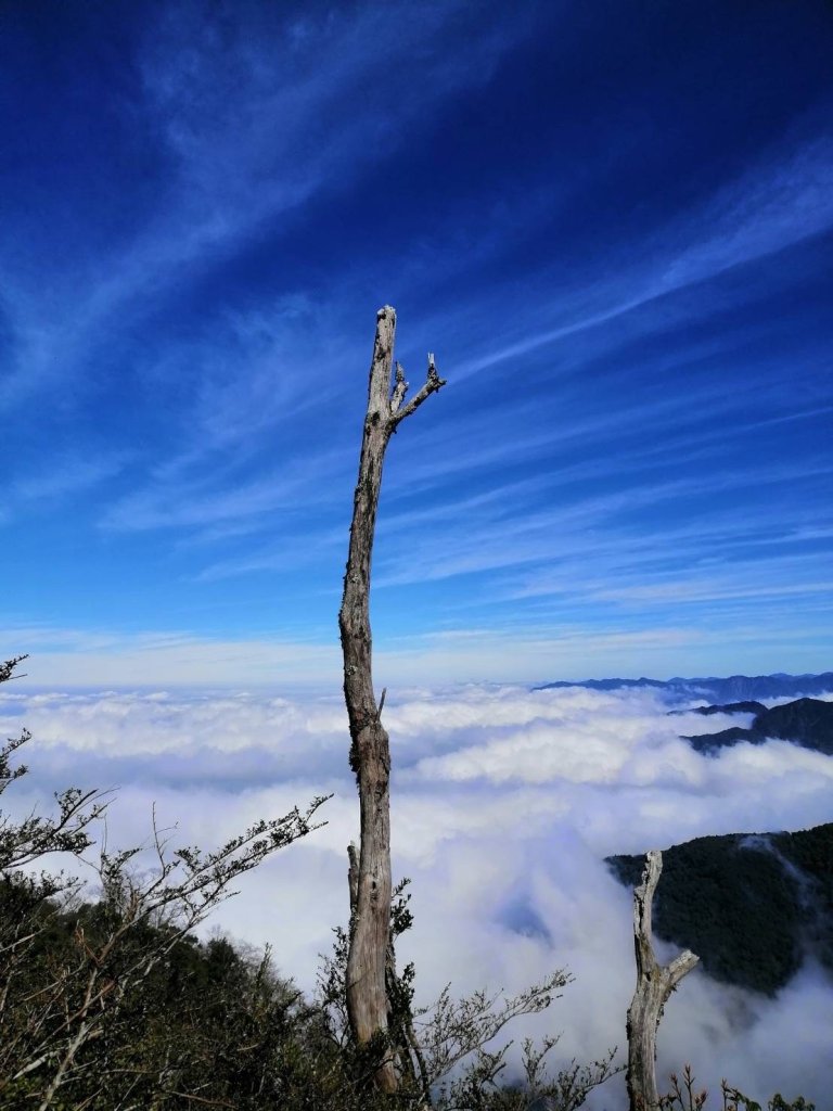 鹿場-加里山_彰化育樂協會_20240118封面圖