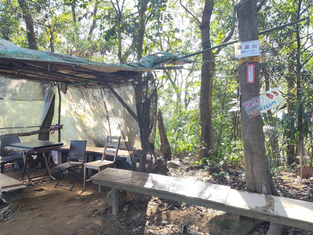 微笑山線：【大棟山系】405高地段_2942566