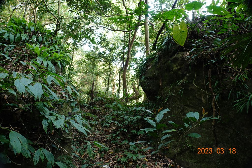 新竹 關西 馬武督山、蓮包山_2076582