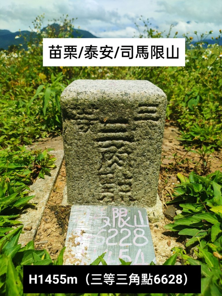 🔺基石 | 三角點_1737605