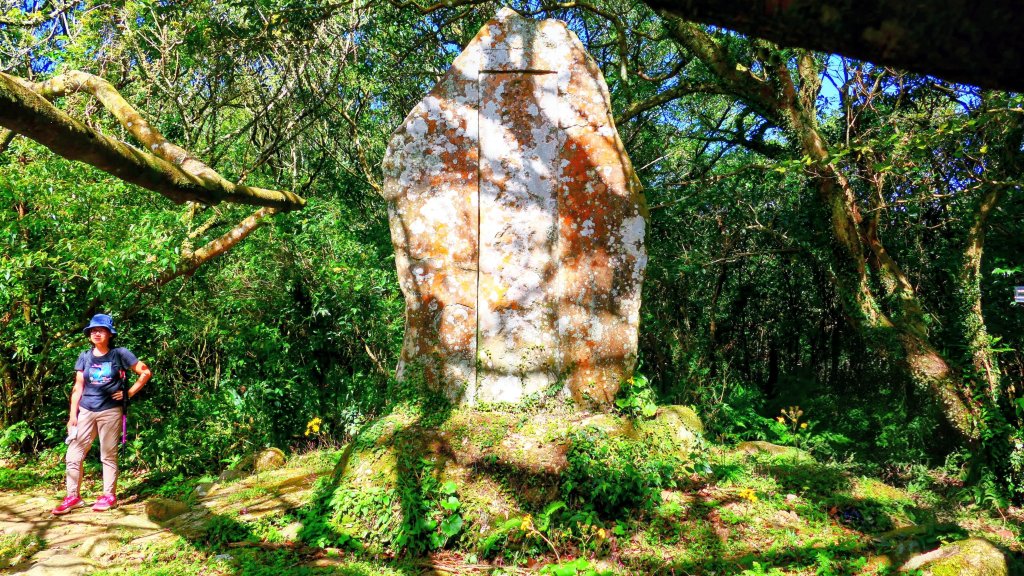 向天蝦不蝦_2936803