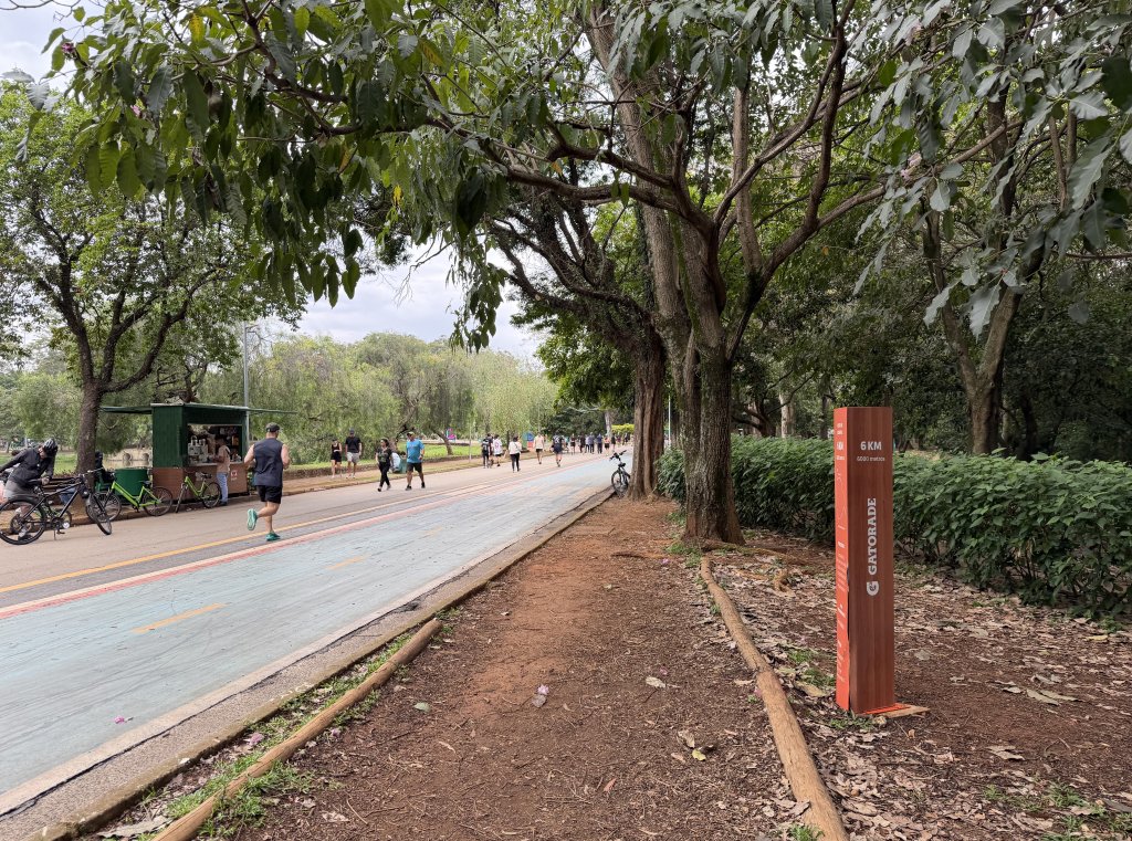 [紐約馬之行-68] 2025_1116 伊比拉布埃拉公園-中_2955142