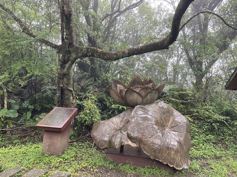 石碇大崙_2761582