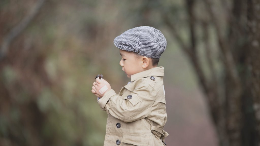 20200310-司馬庫斯神木群步道封面圖
