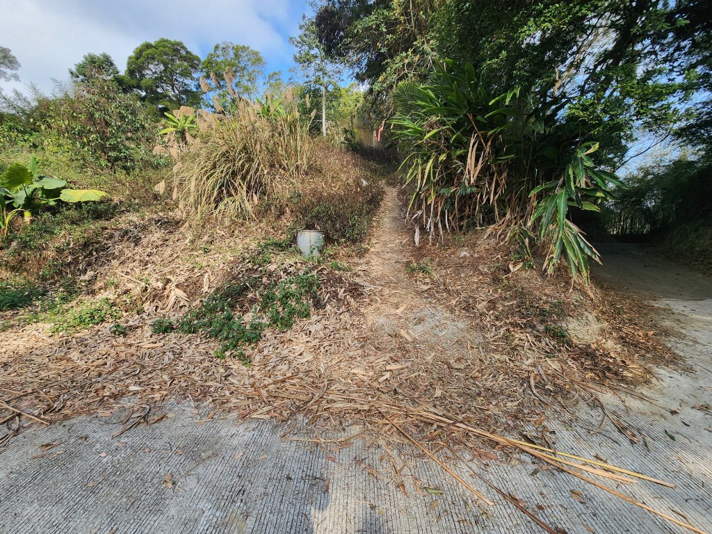 20260223柯子湖山菜堂山尖山沙湖壢山與寶山水庫基石_3012611