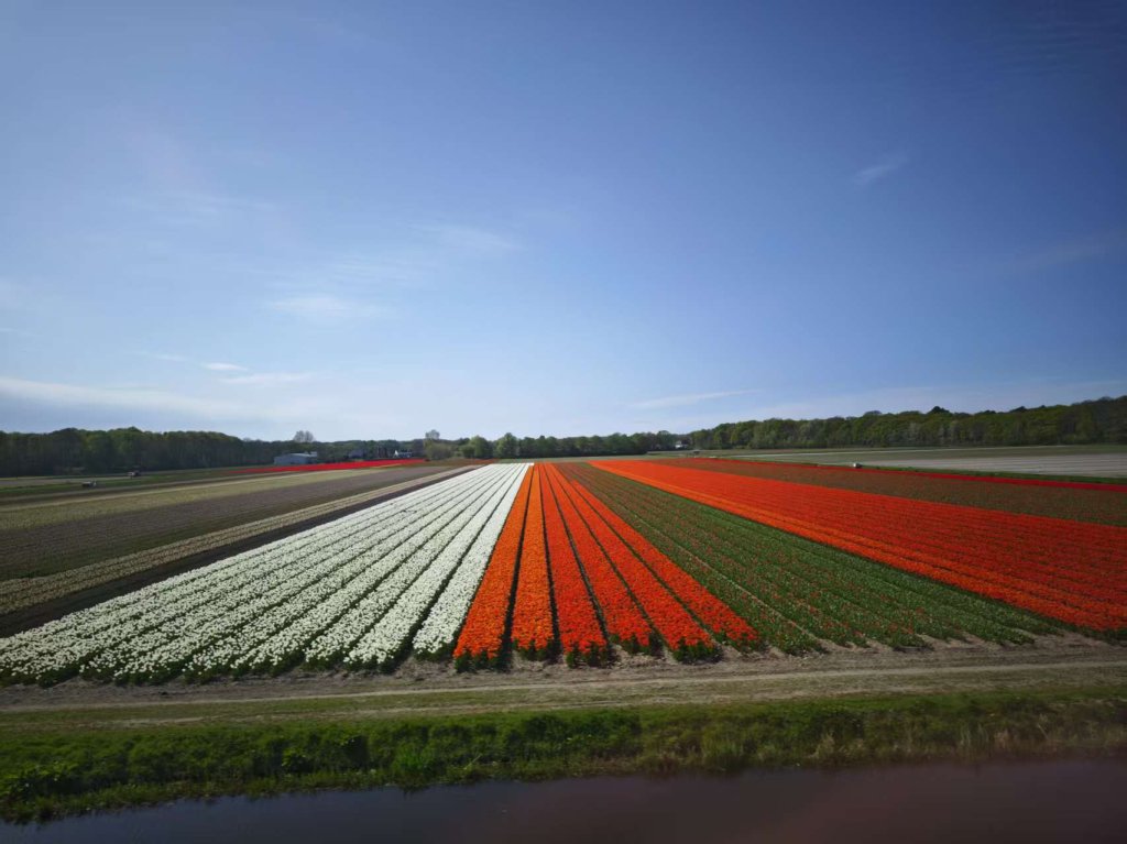 2025_0420 倫敦馬拉松順遊西歐 D2d(往鹿特丹鐵路沿線景觀)封面圖