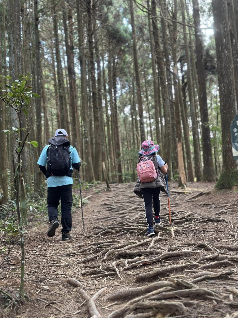 20231112新竹高台山封面圖