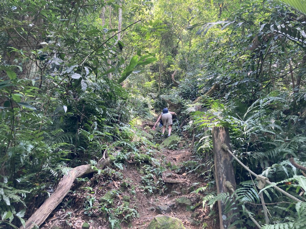 打牛崎古道_2564001