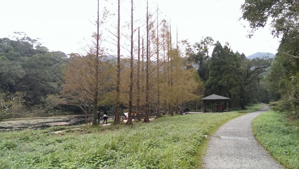 福山植物園_964663