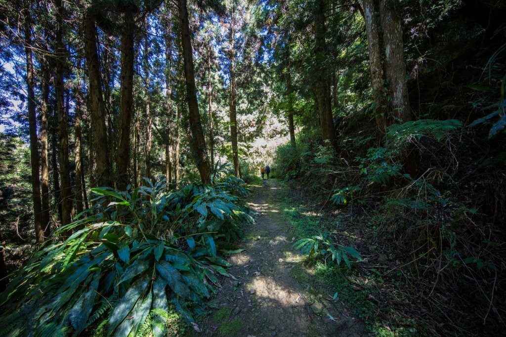 水樣森林 第一次在山裡過夜_659806