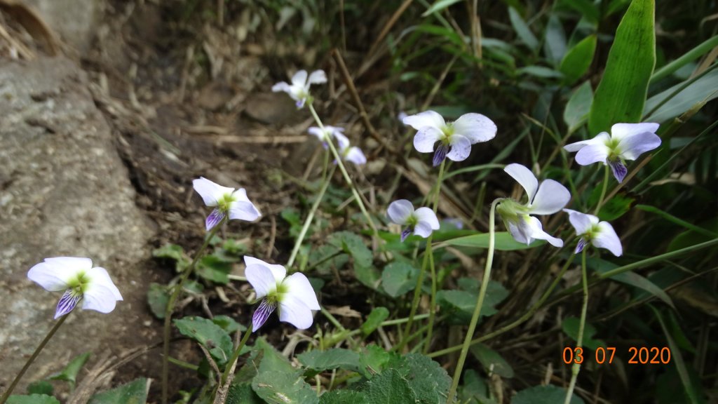 經不住陽光和遠處山頭的誘惑 !_869694