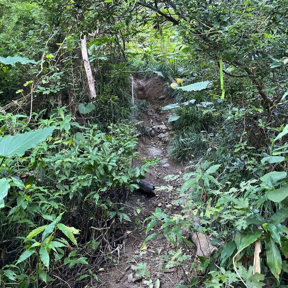 20251214_女仍山（屏東小百岳）_2968700