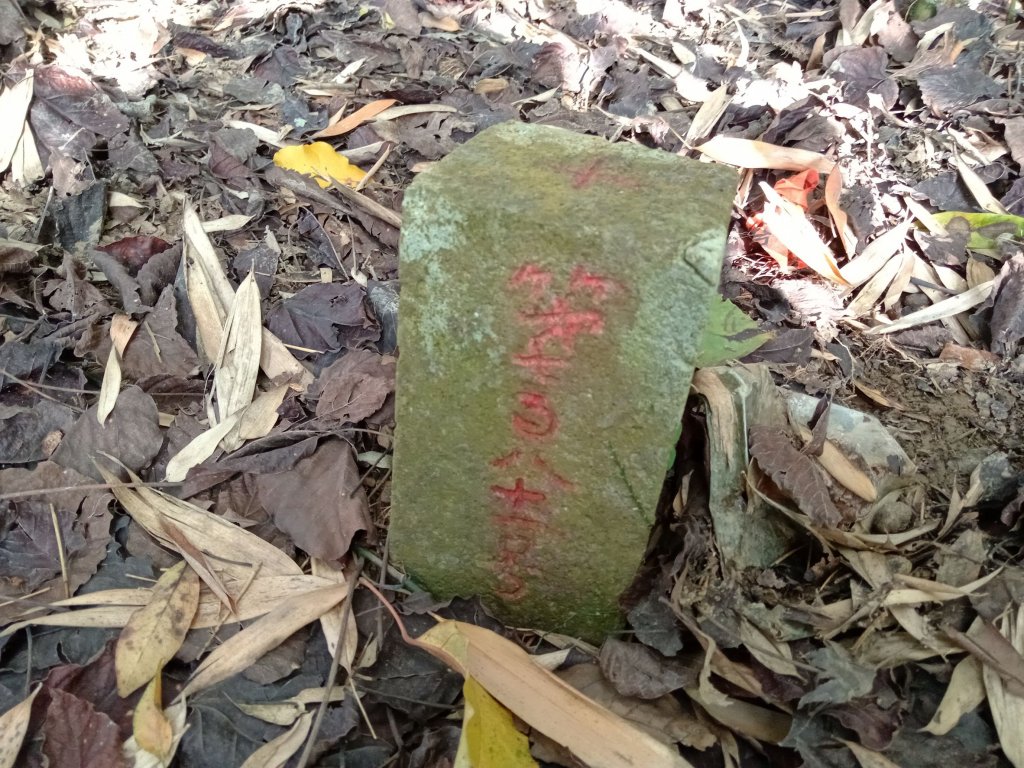 20220226台中和平尾文坑山、三叉坑山、穿龍山、大湖桶山基石_1619041