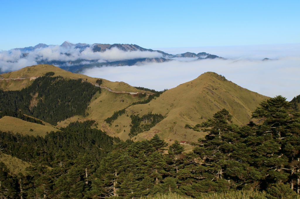 合歡主東峰_232713