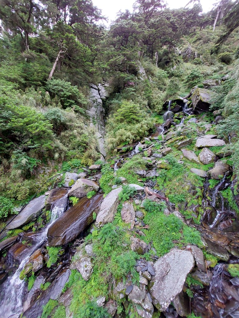 奇萊南華，三天兩夜親子行 /《健行小隊66》_1753179