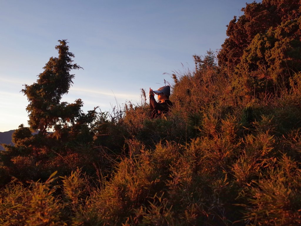 桃山&一點也不鳥的喀拉業山_632689