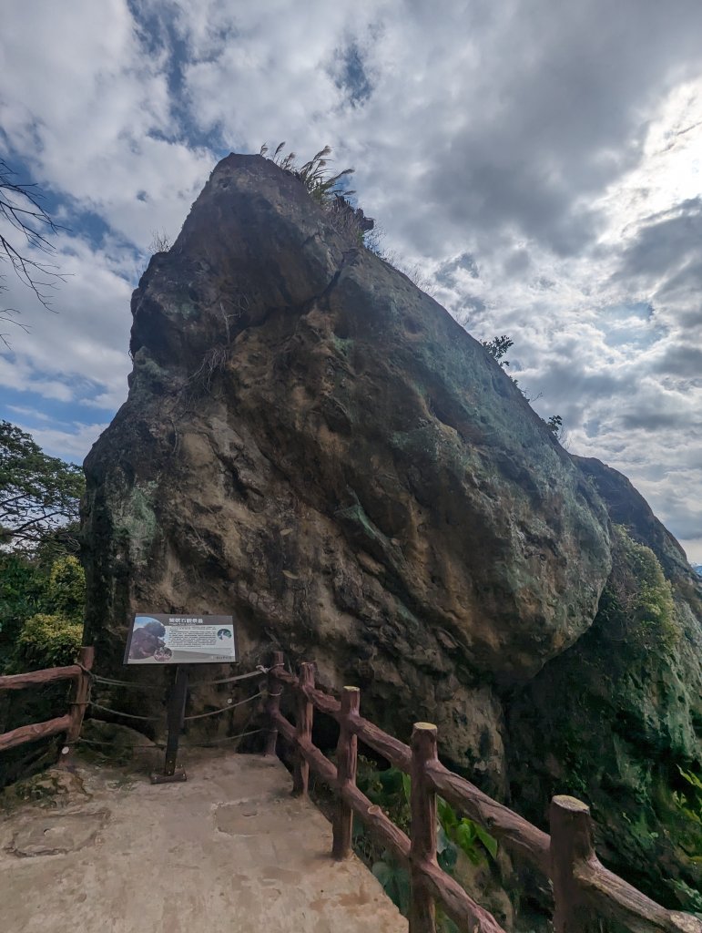 鶯歌石。忠義山。鶯歌百年老榕(#10, #12)封面圖