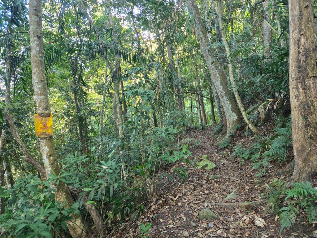 水雲三星～上島山（鳥嘴山）_2931230