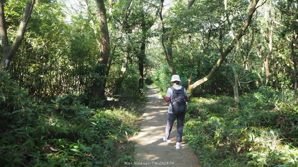 《新竹》湖口老街｜金獅古道O繞茶香及仁和步道20241206_2663775