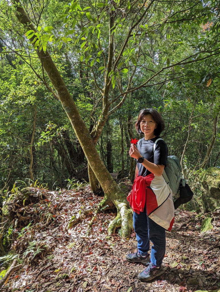 【小百岳055】雲林 石壁山_1959551