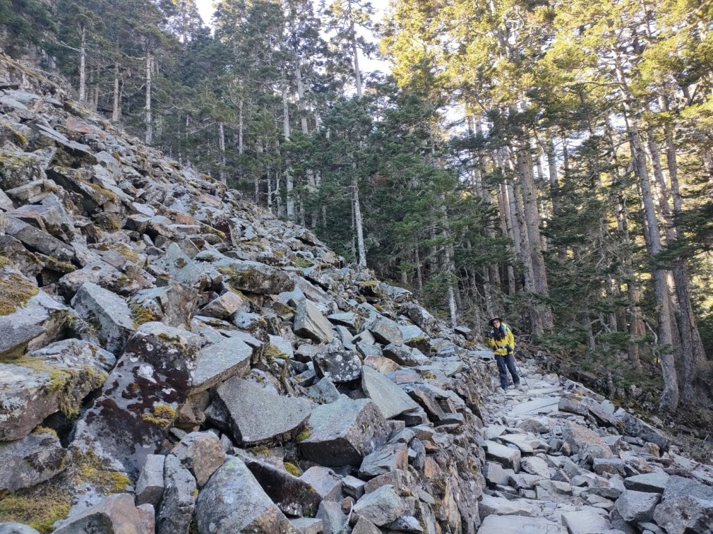 1101031 翠池直上雪山主峰，回大水池登山口_1501671