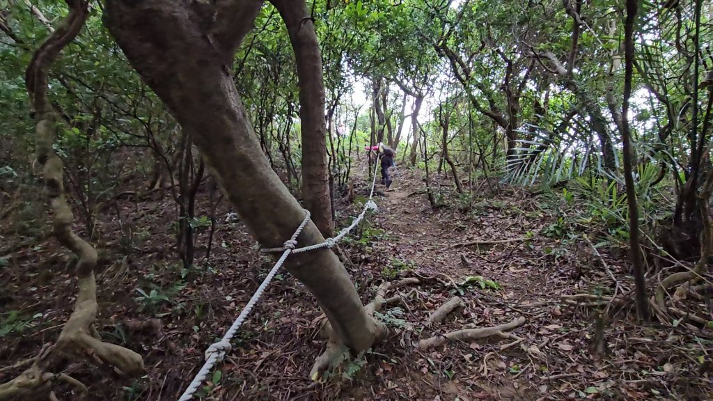 瑞芳四秀加碼大武崙澳底沙灘_2238801