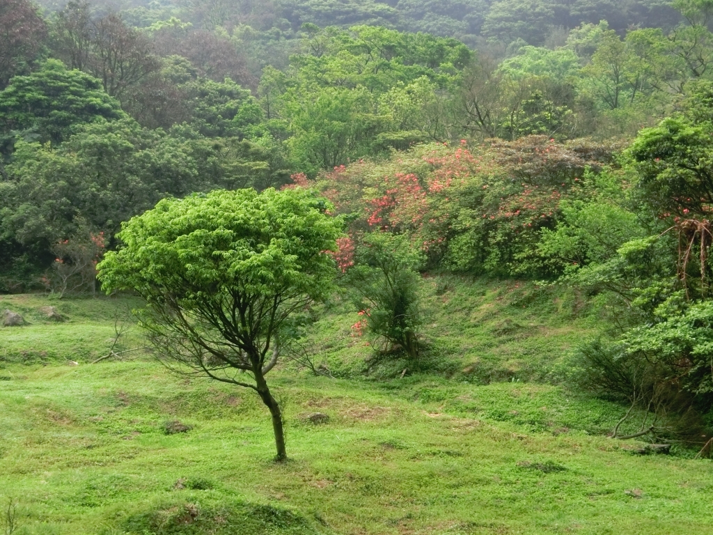 菜公坑山．大屯自然公園_93920